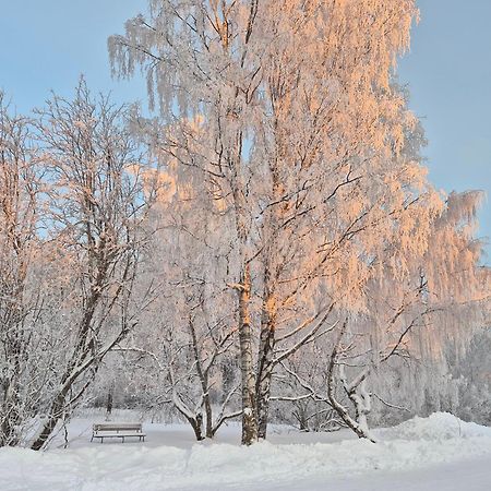 Tilava Uudistettu Perheasunto Apartment Rovaniemi Ngoại thất bức ảnh